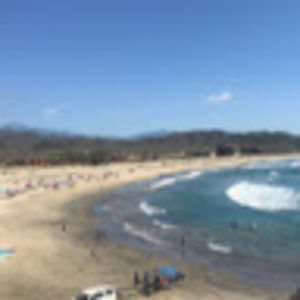 Meet your Posher, Maxine